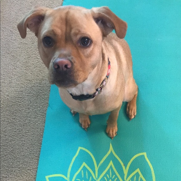 Meet your Posher, Kayla - Picture 5 of 8